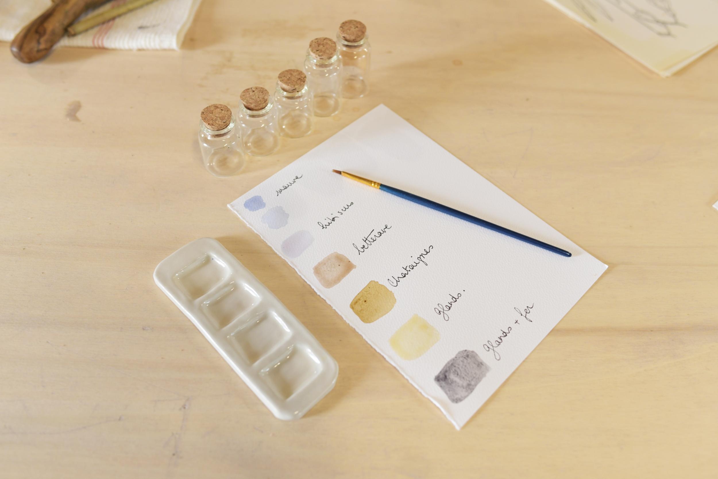 Créez vos encres aquarelles végétales en duo avec votre enfant, accompagnés par Pauline - Image n°5 - Wecandoo