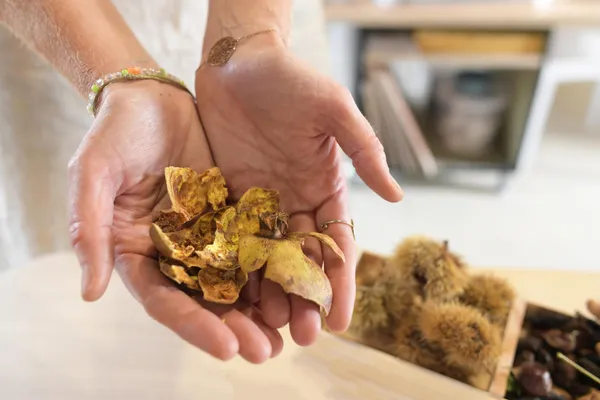 Découvrez la teinture végétale ecoprint avec Pauline - Image n°2 - Wecandoo