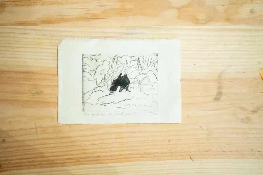 Découvrez la gravure sur tétrapack avec Hortense - Afbeelding nr. 1 - Wecandoo