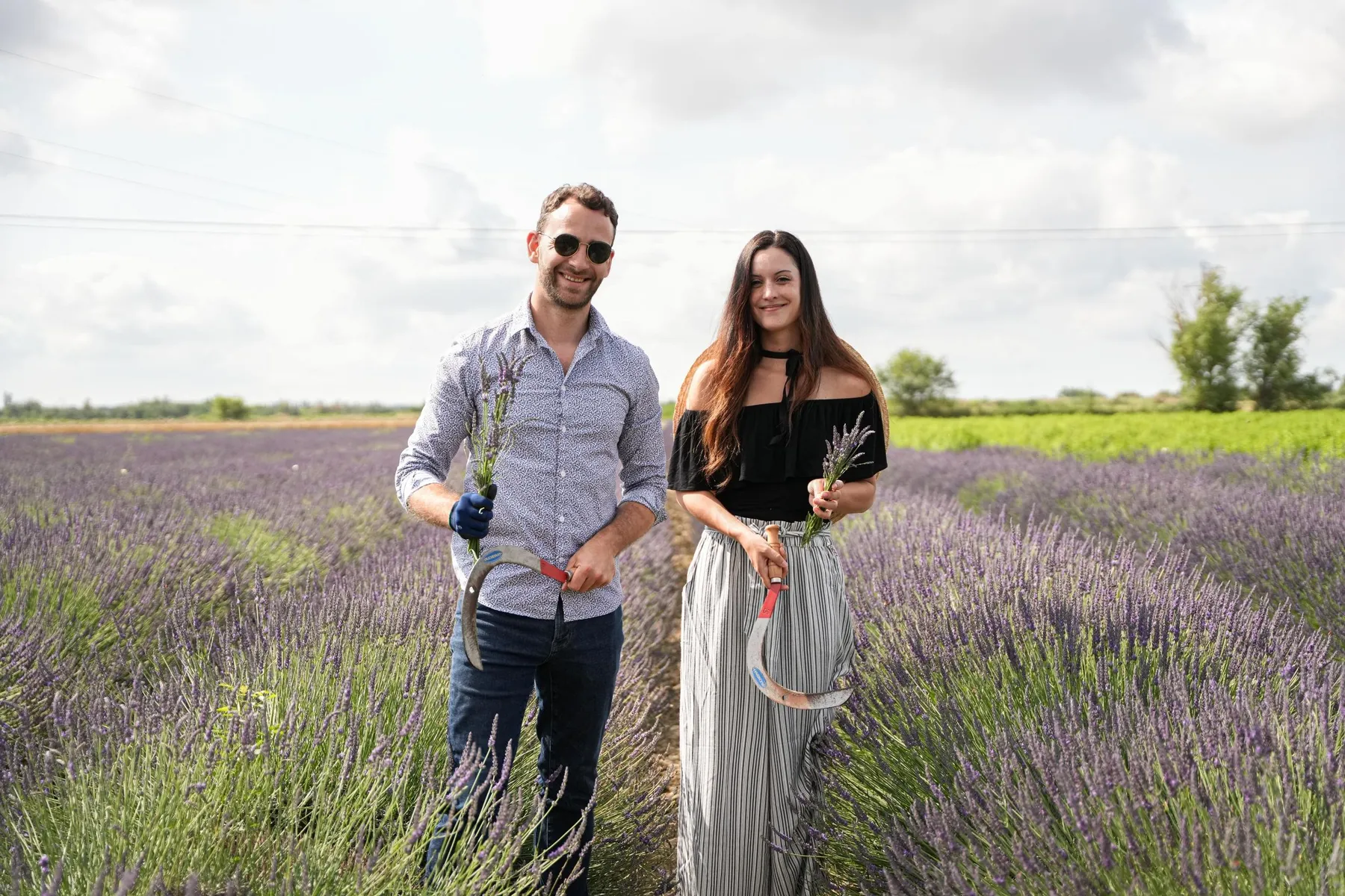 Réalisez votre fuseau de lavande avec Gaël - Image n°2 - Wecandoo