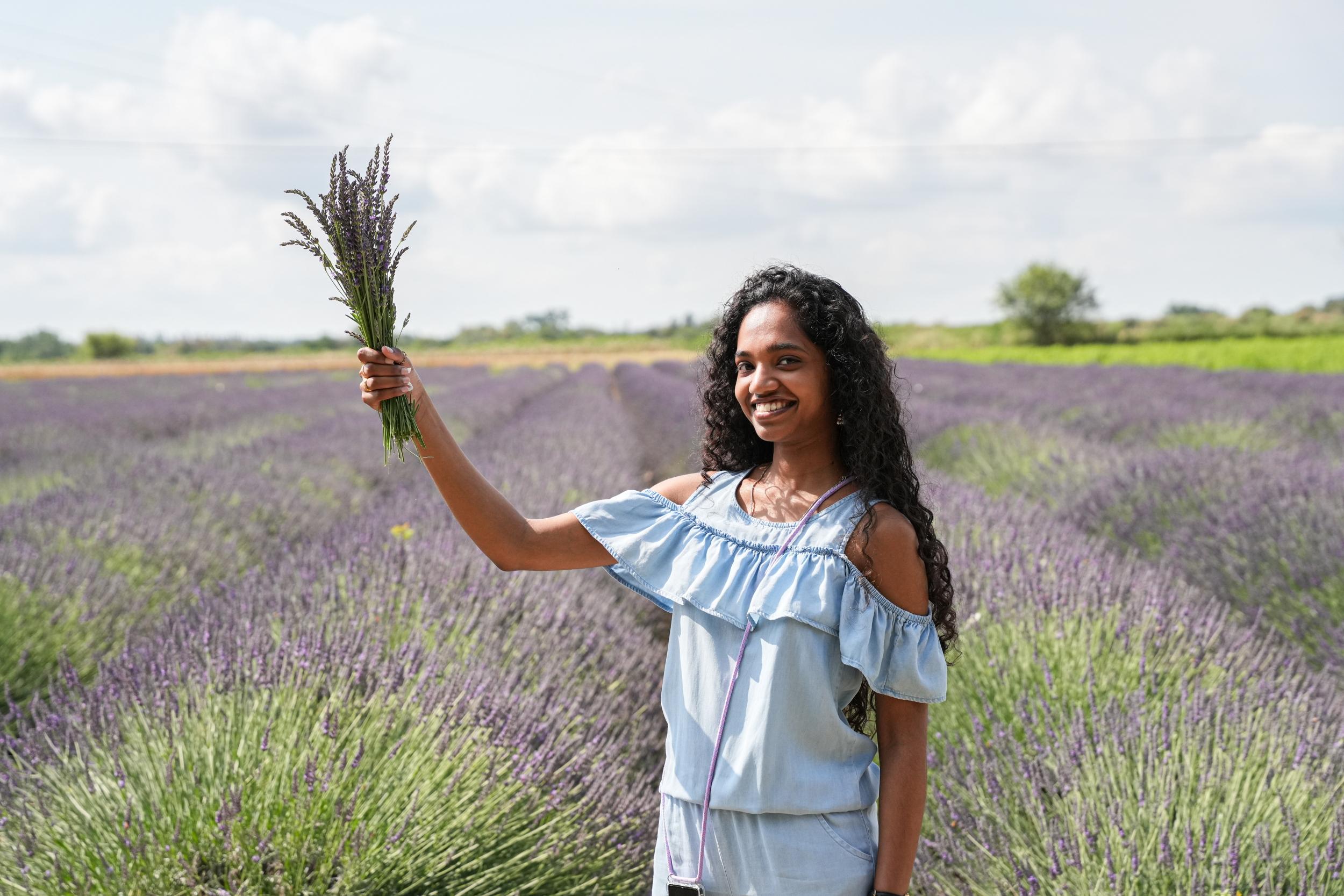 Réalisez votre fuseau de lavande avec Gaël - Image n°3 - Wecandoo