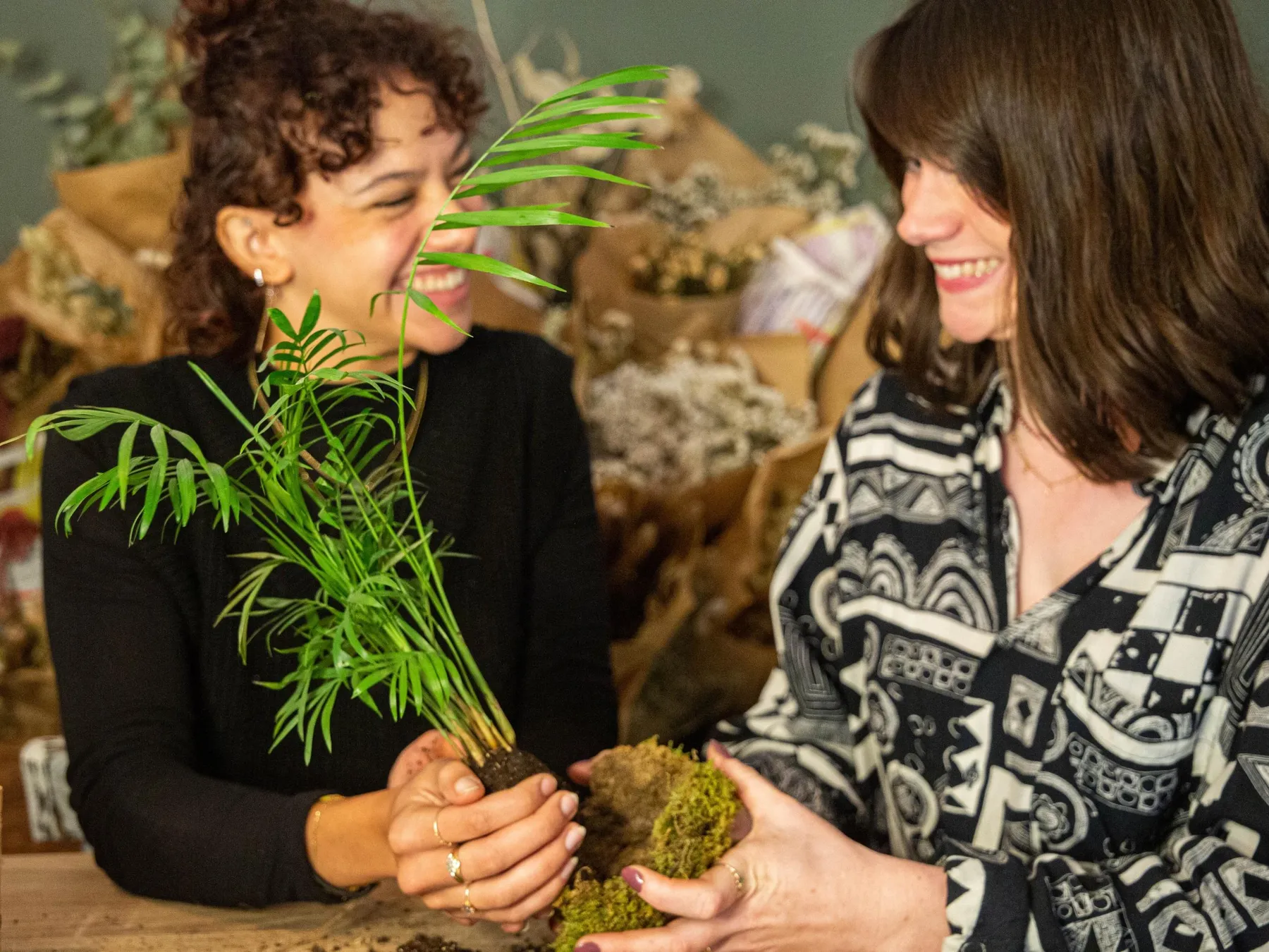 Créez votre kokédama avec Juline - Image n°3 - Wecandoo