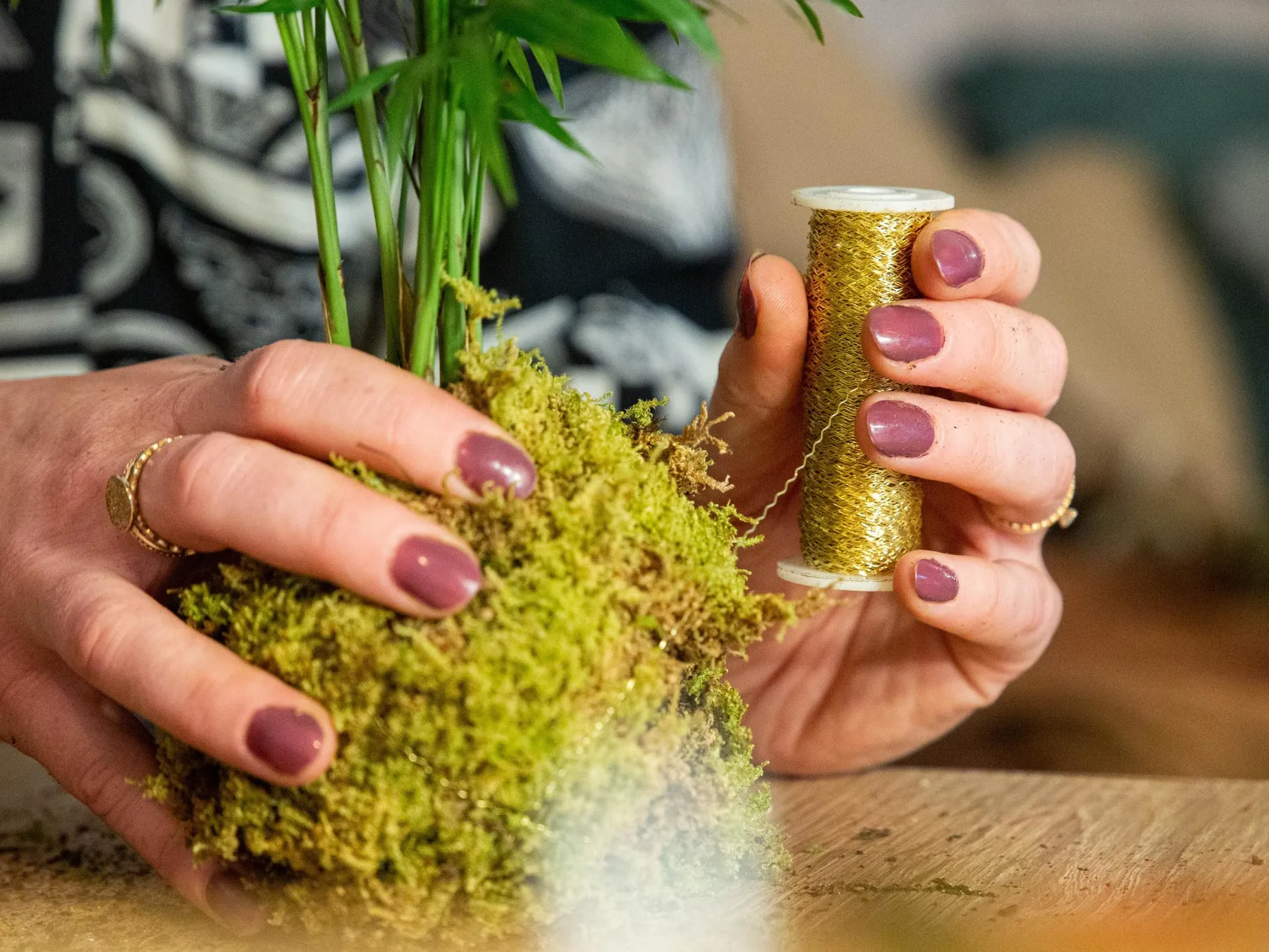 Créez votre kokédama avec Juline - Image n°5 - Wecandoo