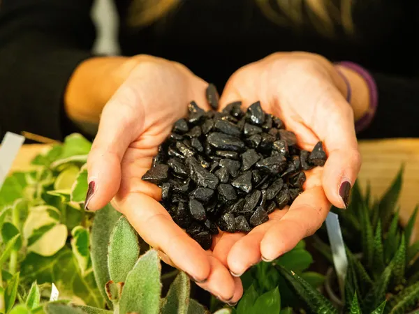 Créez votre terrarium avec Juline - Image n°2 - Wecandoo