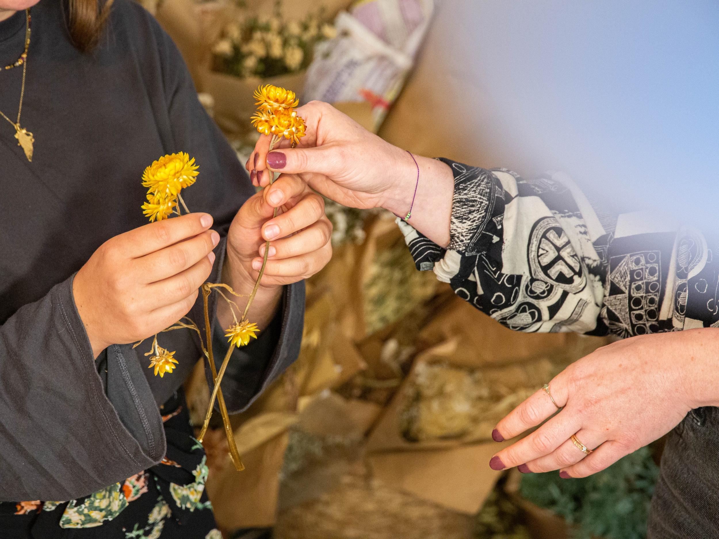 Créez votre bouquet de fleurs séchées avec Juline - Image n°6 - Wecandoo