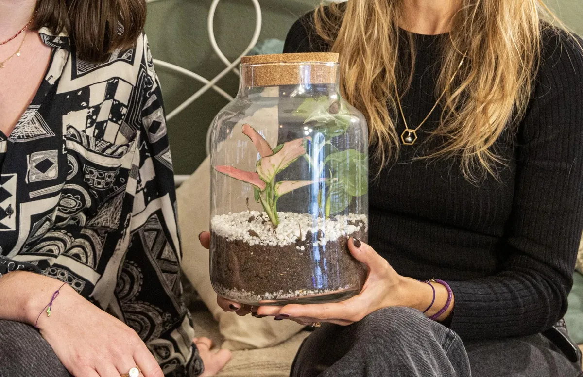 Créez votre terrarium