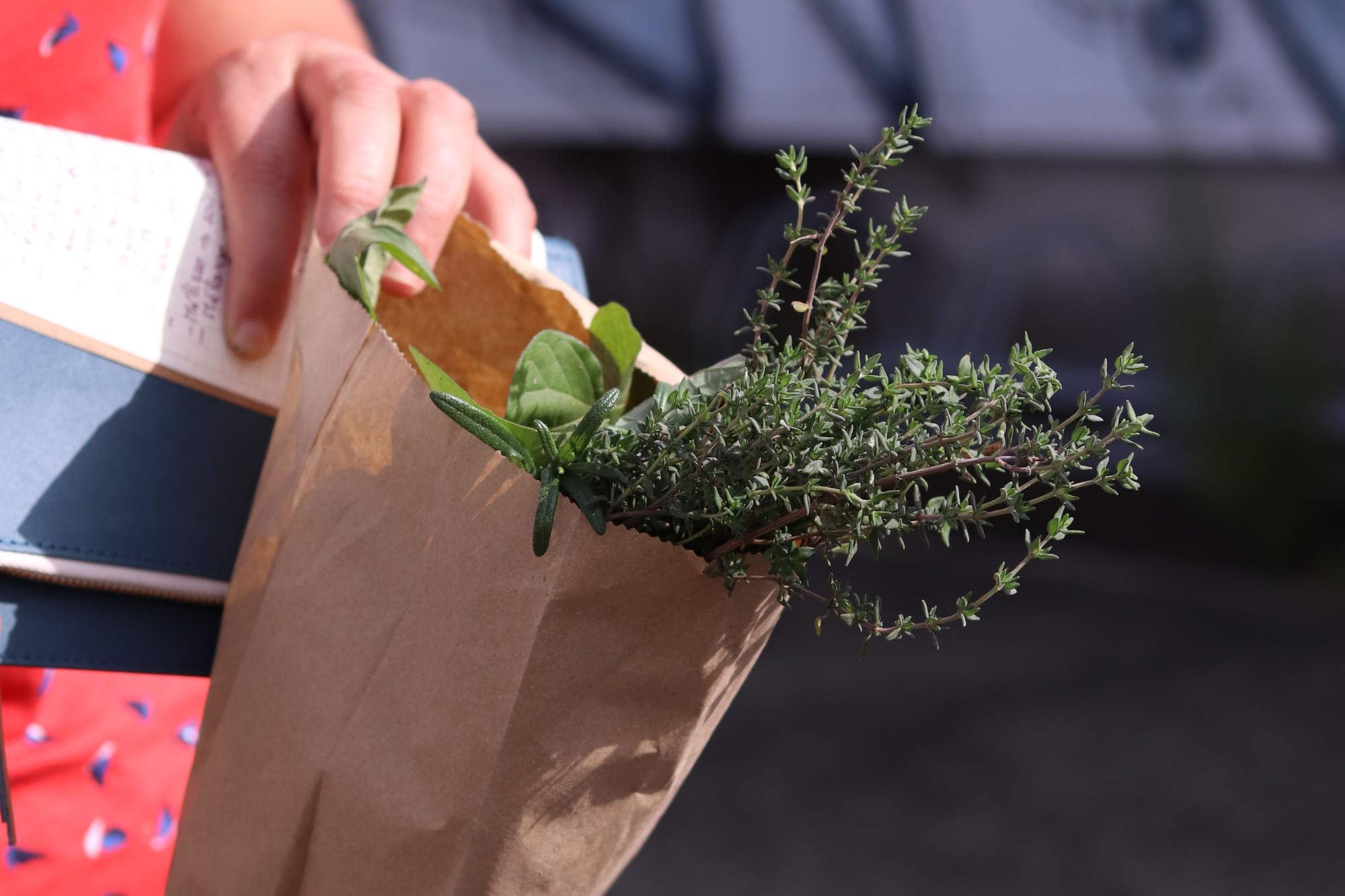 Composez vos tisanes dans une ferme urbaine - Image n°6 - Wecandoo