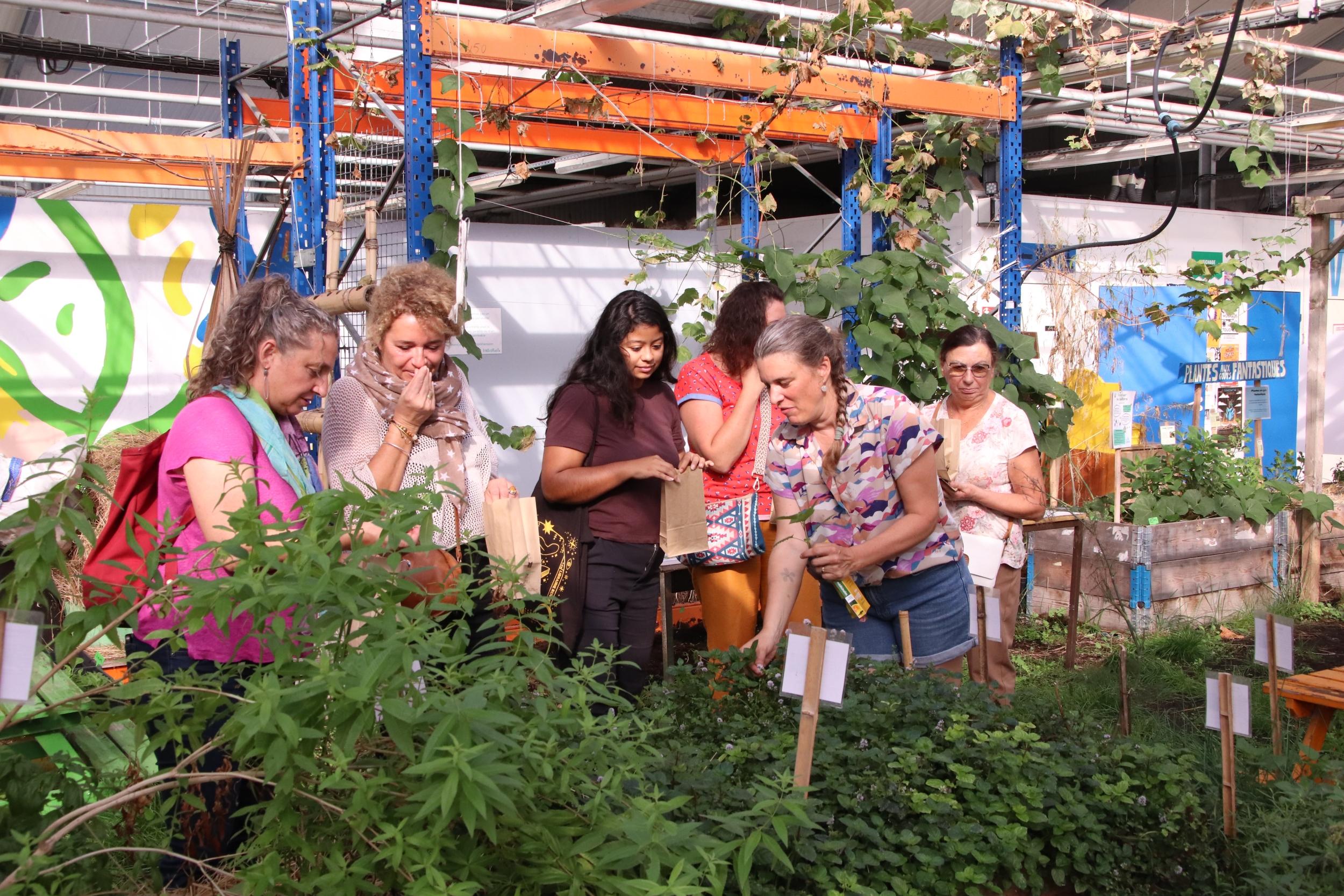 Composez vos tisanes dans une ferme urbaine - Image n°2 - Wecandoo