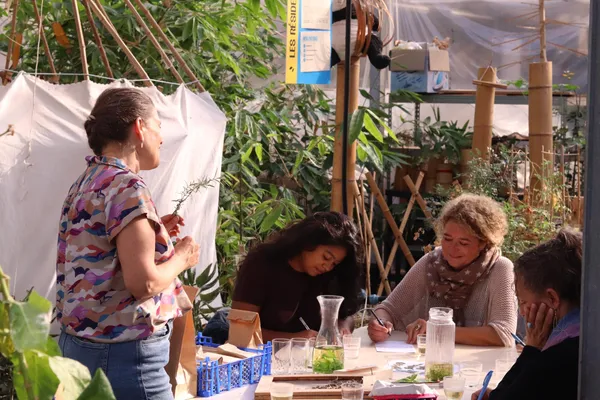 Composez vos tisanes dans une ferme urbaine - Image n°3 - Wecandoo