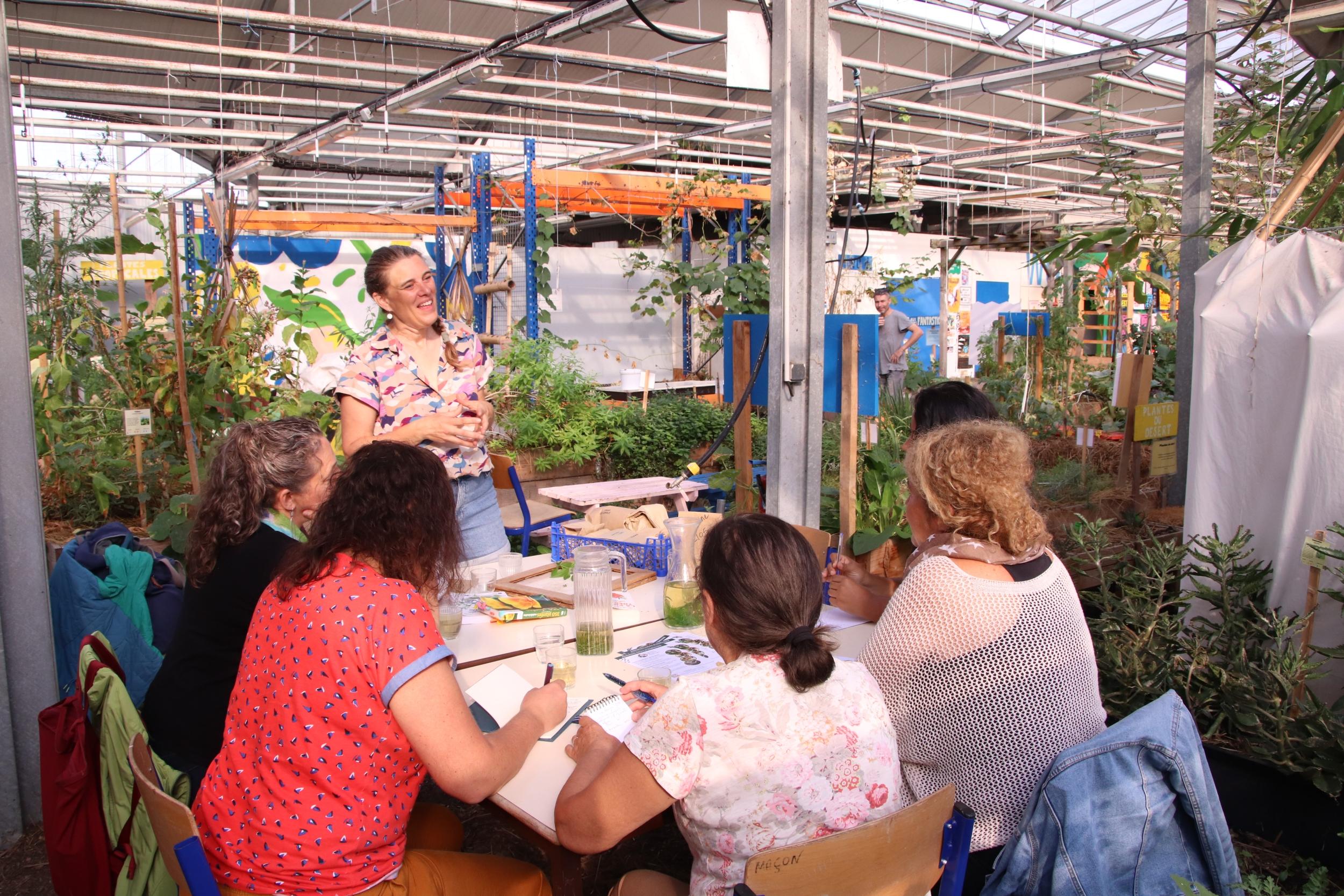 Composez vos tisanes dans une ferme urbaine - Image n°5 - Wecandoo
