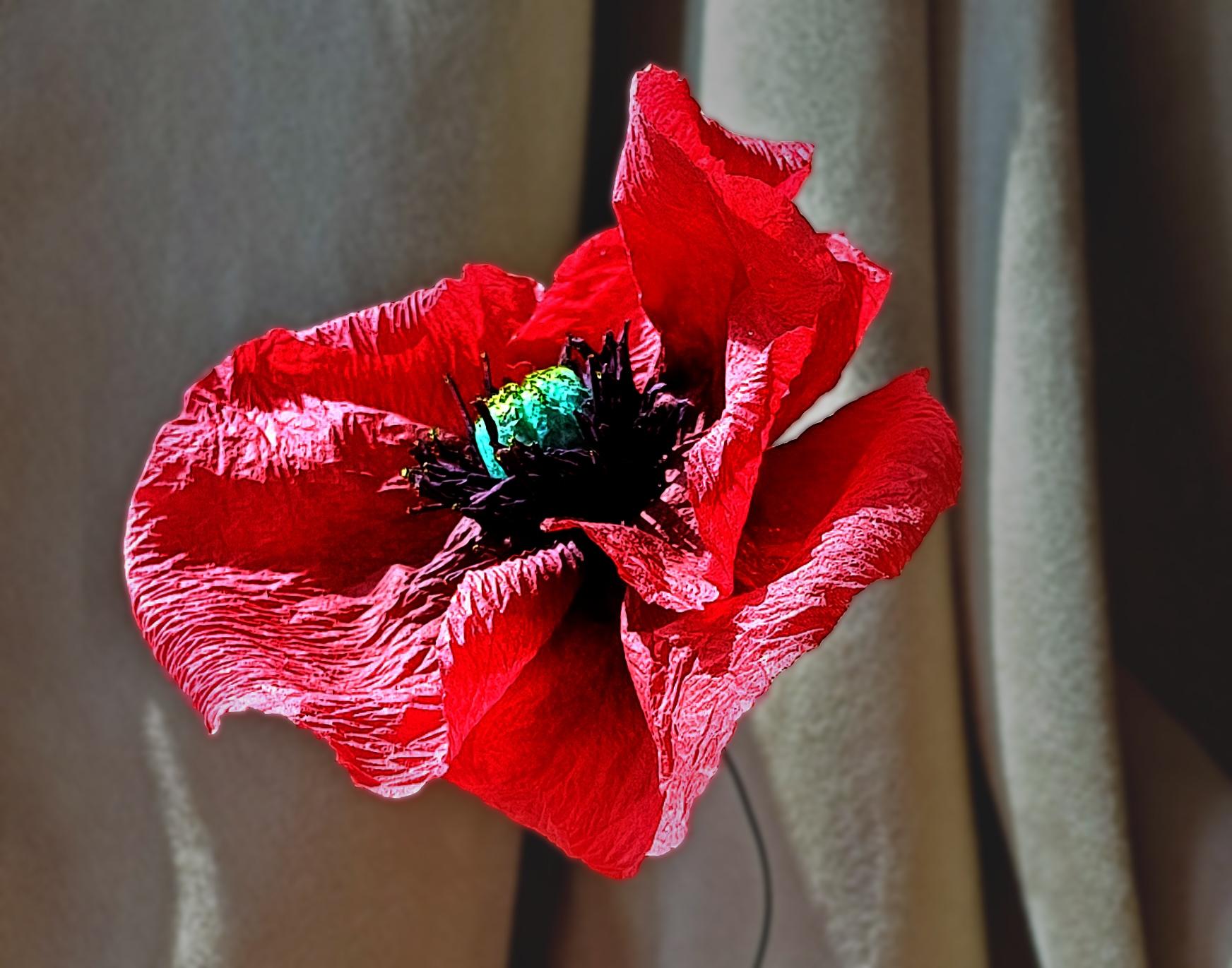 Créez une fleur de pivoine éternelle en papier et matières recyclées avec Anna à Paris - Image n°4 - Wecandoo