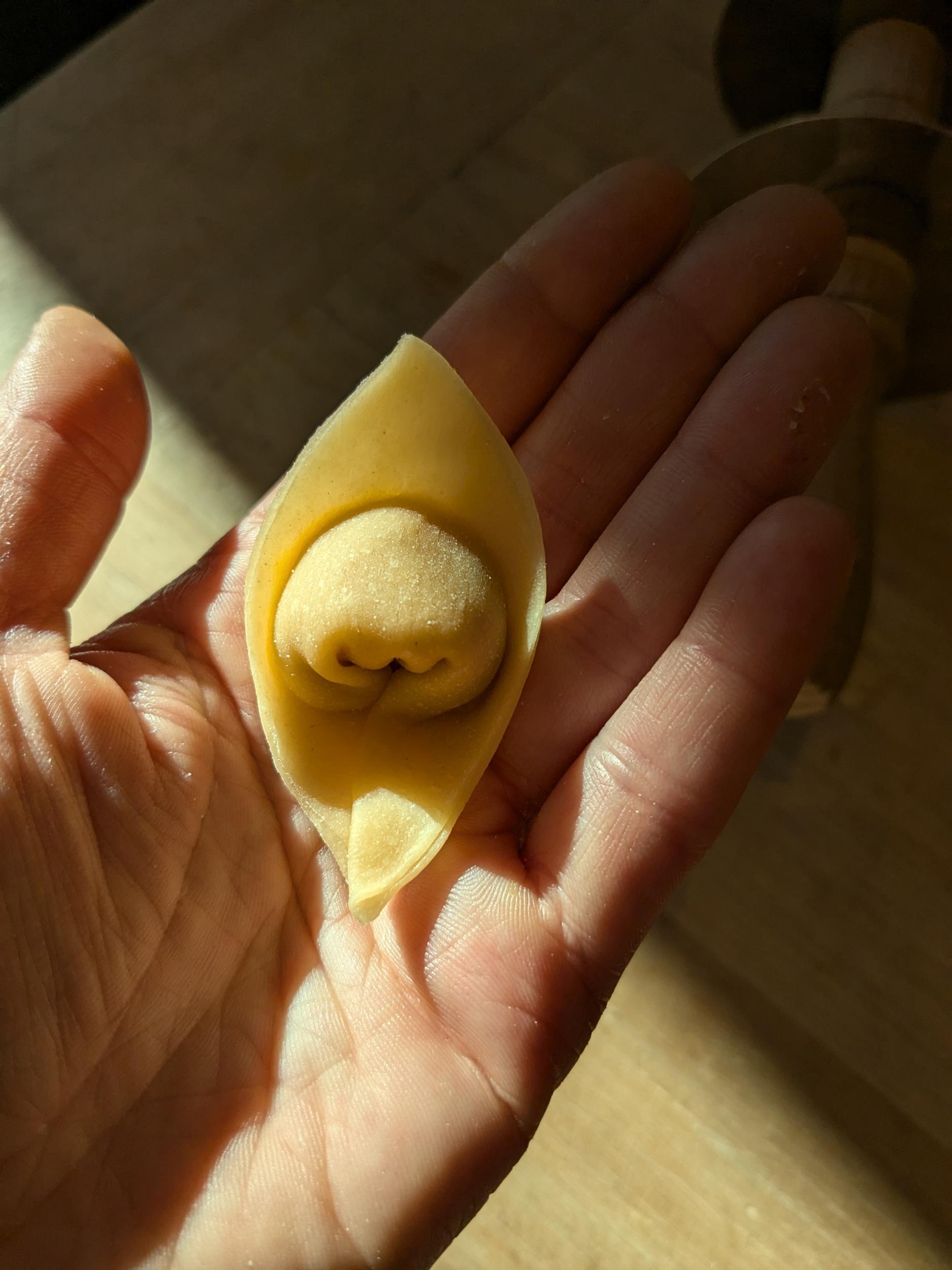 Cook your own stuffed pasta from Bologna - Image n°8 - Wecandoo