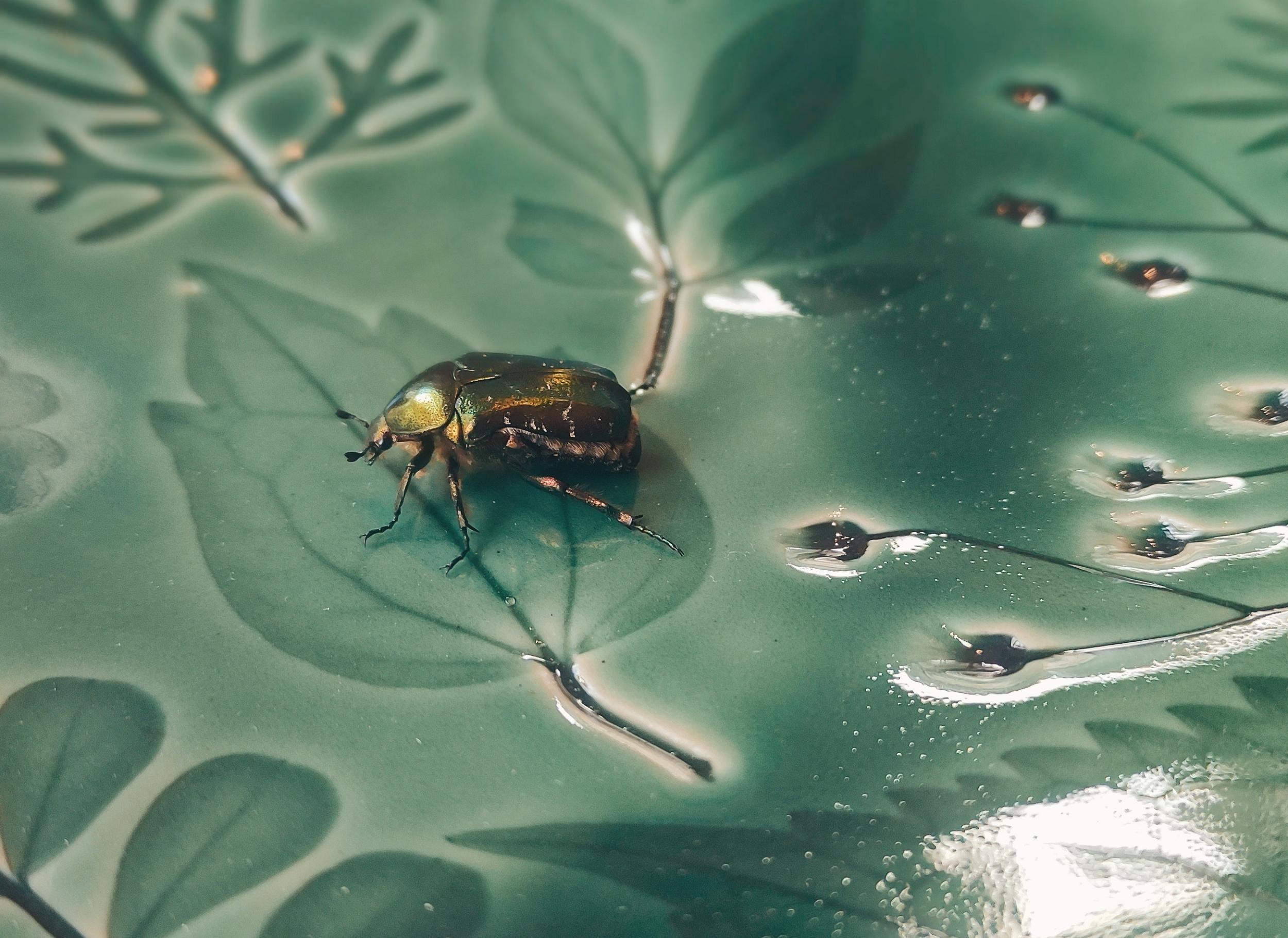 Atelier individuel - Modelez vos assiettes en grès - Image n°1 - Wecandoo