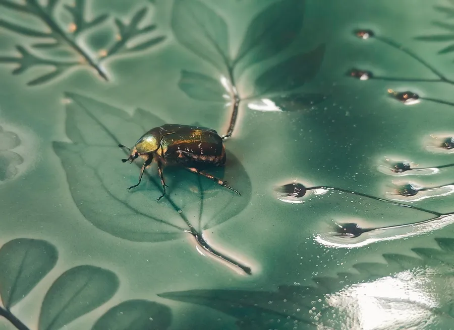 Atelier individuel - Modelez vos assiettes en grès - Image n°1 - Wecandoo
