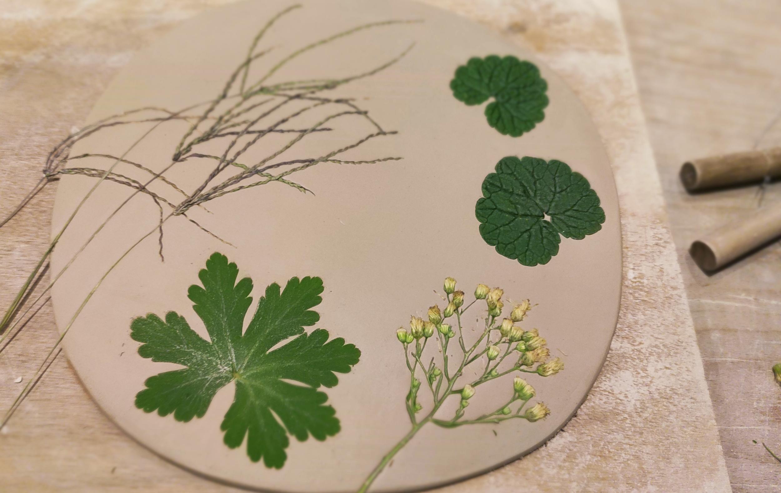 Atelier individuel - Modelez vos assiettes en grès - Image n°10 - Wecandoo