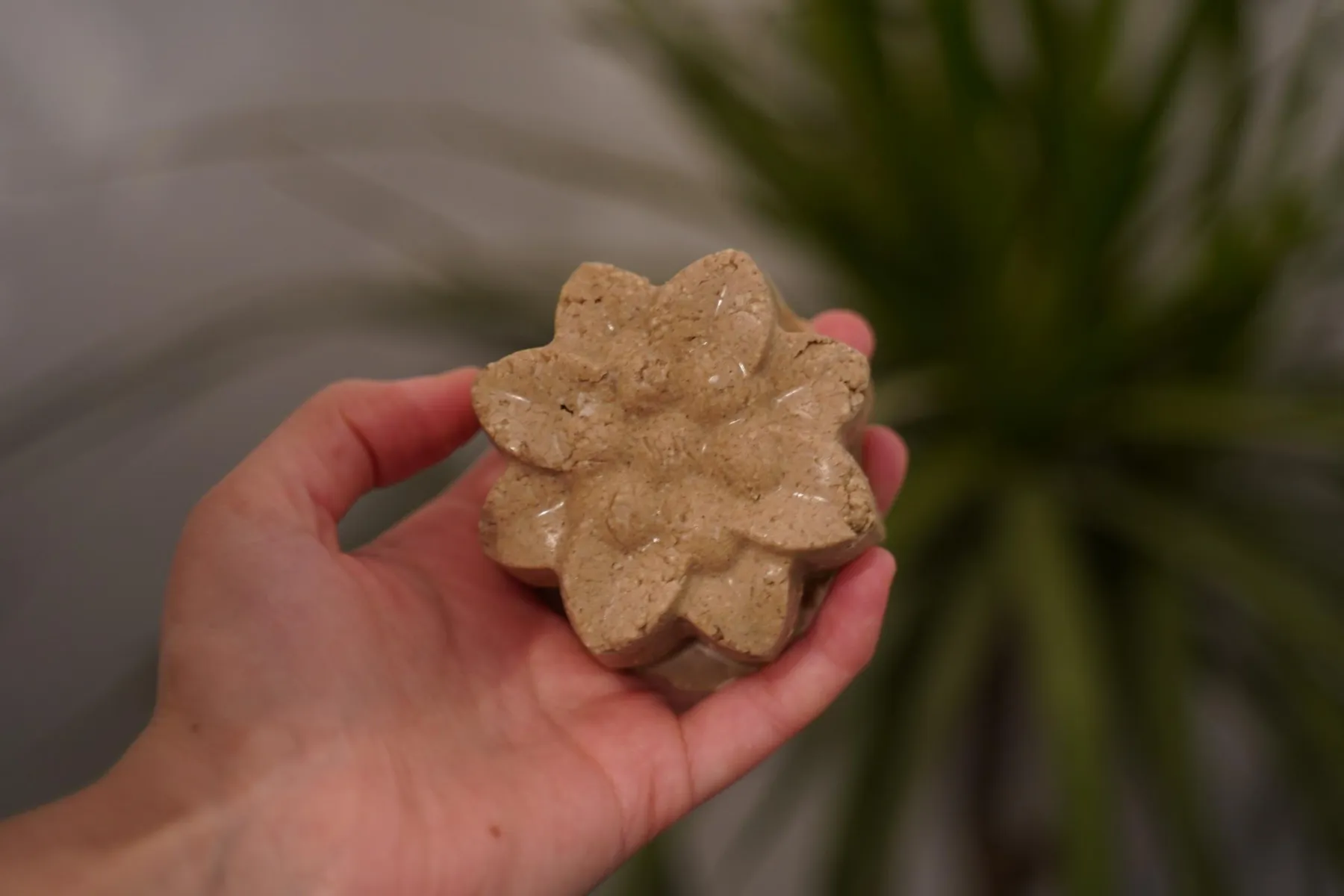 Fabriquez votre rituel capillaire avec Anaïs - Image n°1 - Wecandoo