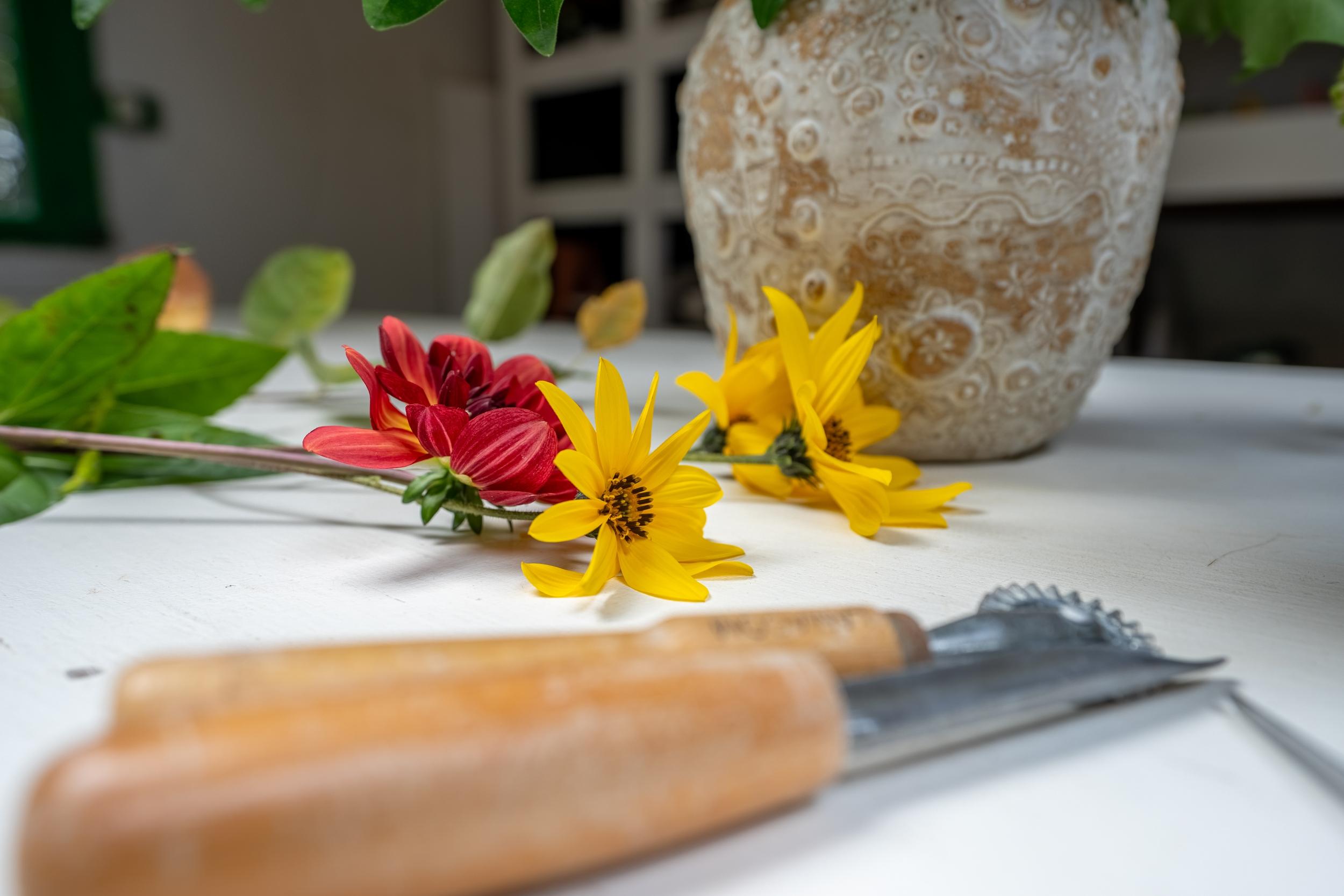 Réalisez vos supports pour fleurs en porcelaine avec des empreintes végétales avec Emmanuelle - Image n°8 - Wecandoo