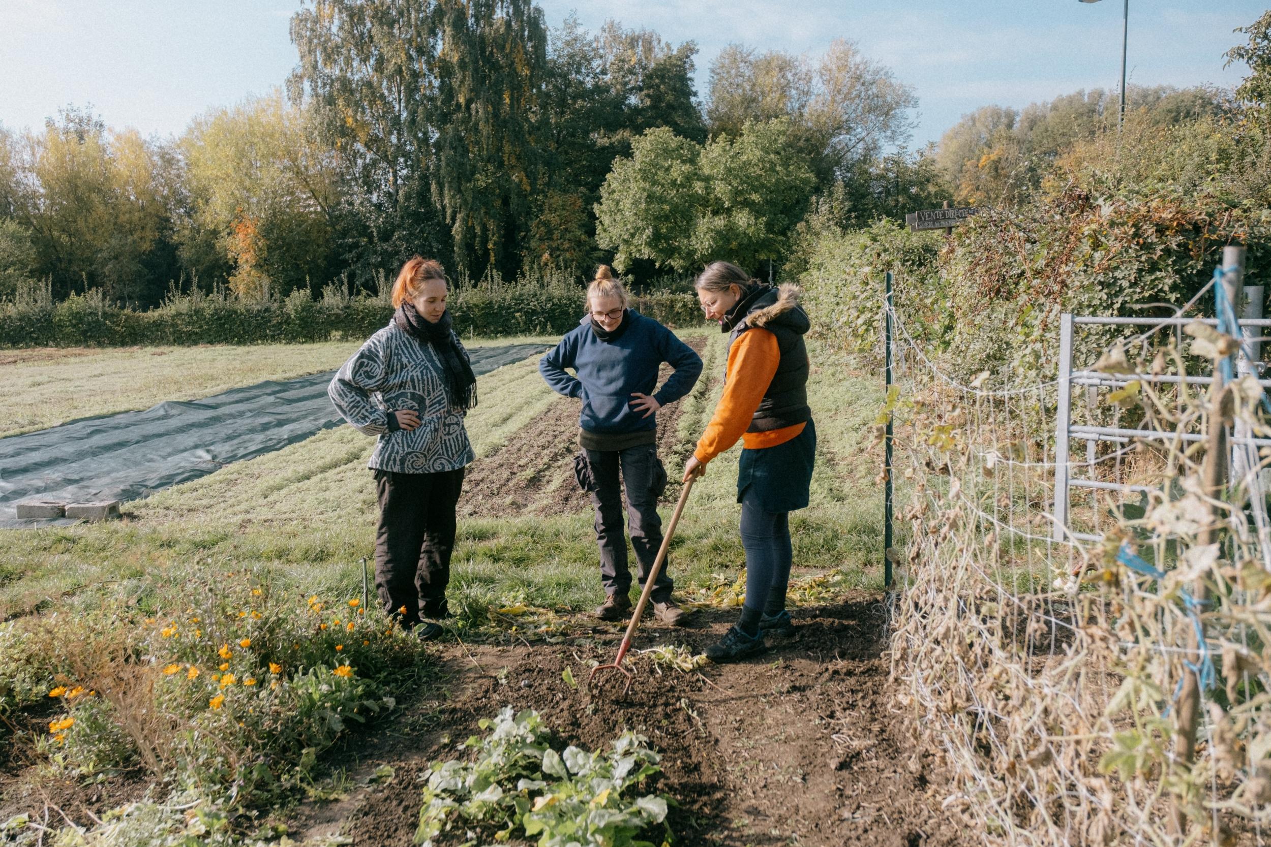 Initiez-vous à la permaculture avec Sonia - Image n°5 - Wecandoo
