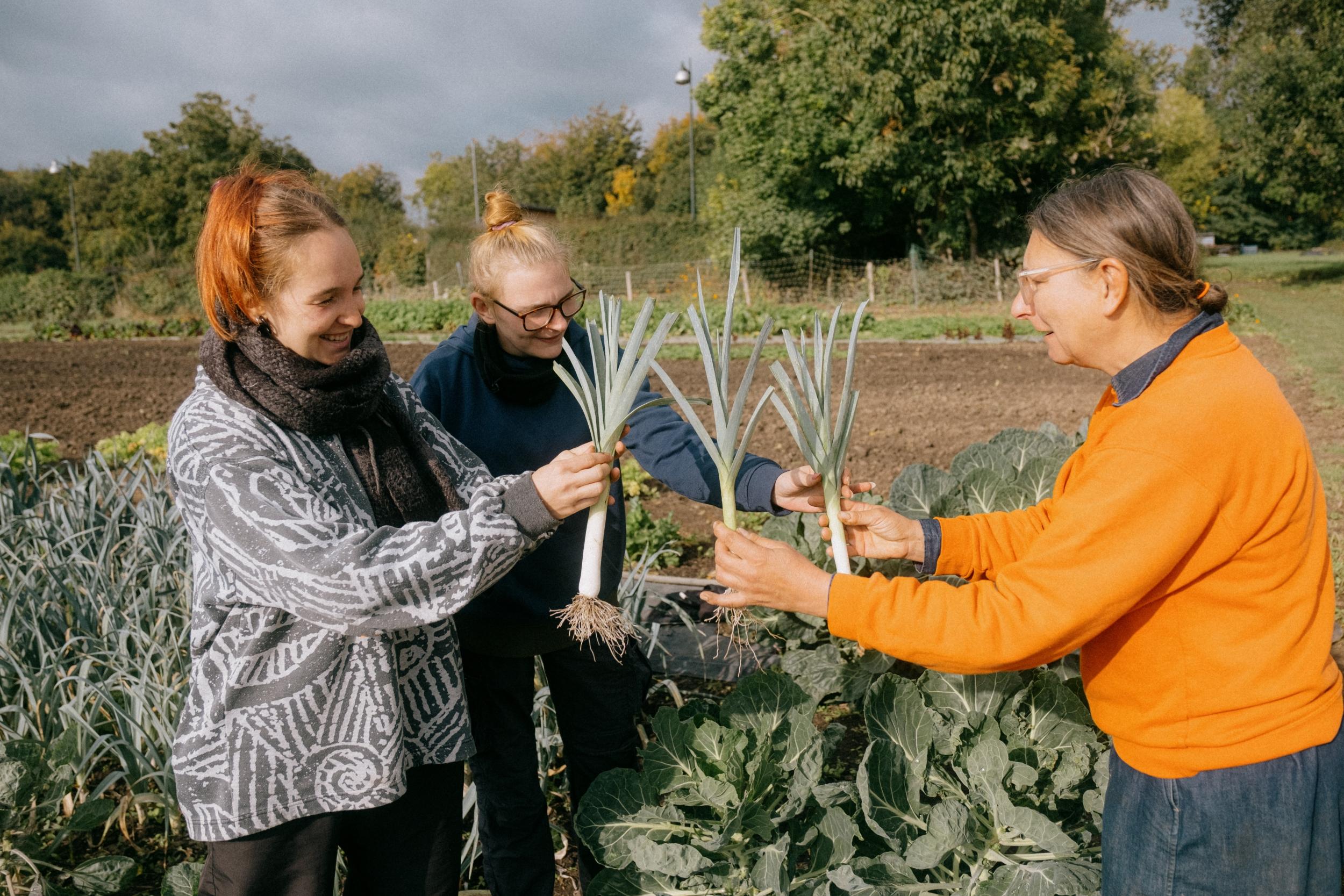 Initiez-vous à la permaculture avec Sonia - Image n°8 - Wecandoo