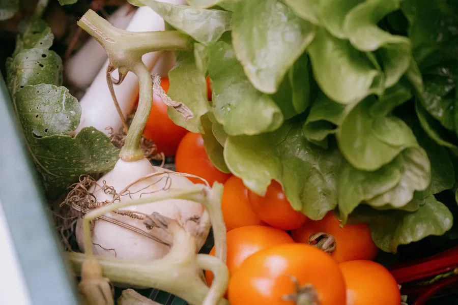 Initiez-vous à la permaculture avec Sonia - Afbeelding nr. 1 - Wecandoo