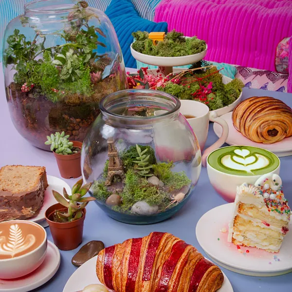 Créez votre terrarium sec autour d'un café