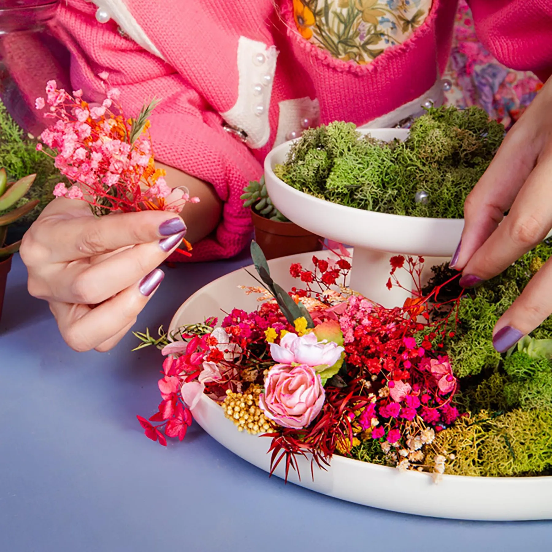 Réalisez votre terrarium autour d'un café avec Marie et son équipe - Image n°2 - Wecandoo