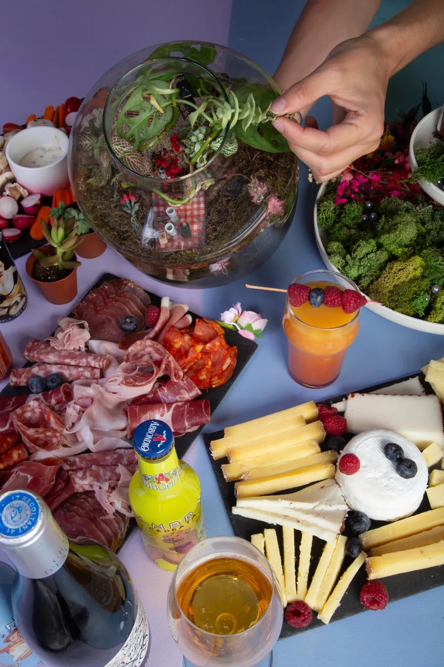 Composez votre terrarium autour d'un apéro avec Marie et son équipe - Image n°1 - Wecandoo