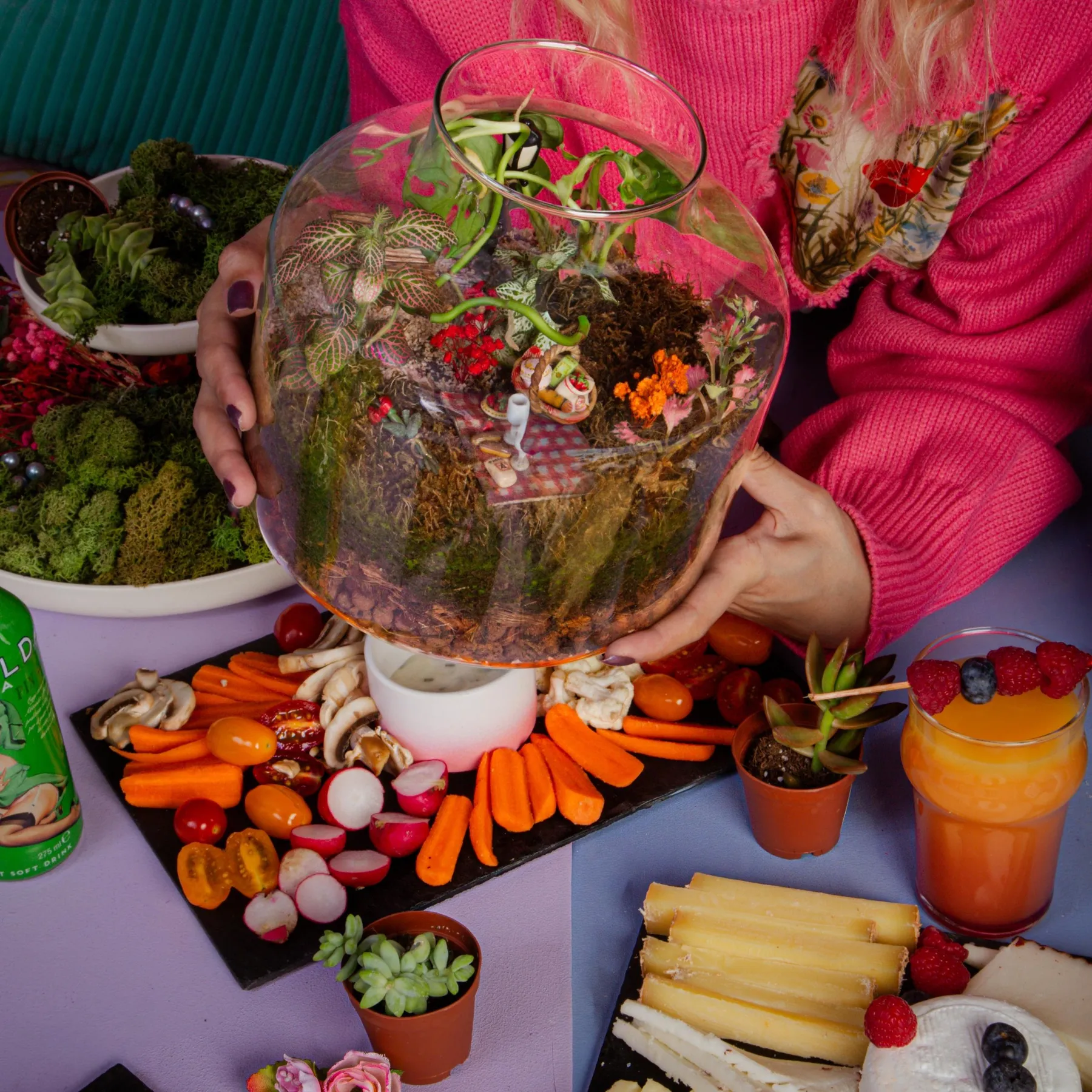 Composez votre terrarium autour d'un apéro avec Marie et son équipe - Afbeelding nr. 2 - Wecandoo