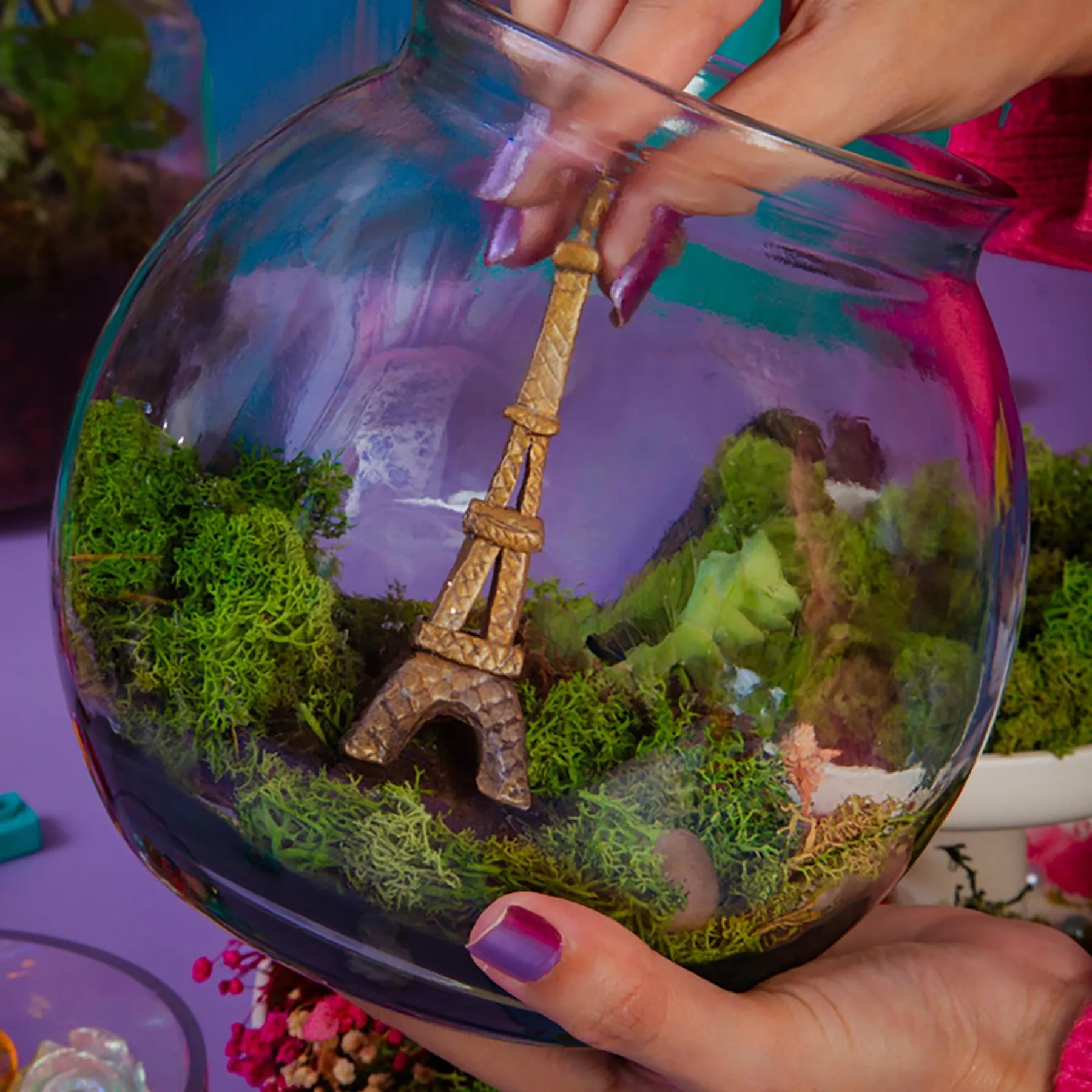 Composez votre terrarium autour d'un brunch avec Marie et son équipe - Image n°3 - Wecandoo