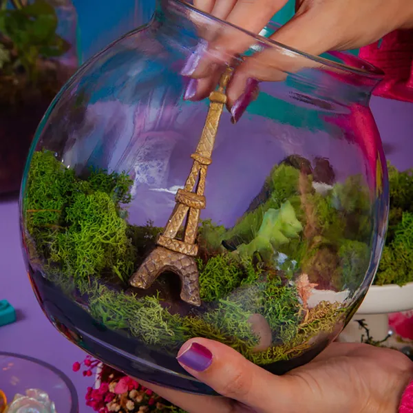 Composez votre terrarium autour d'un brunch avec Marie et son équipe - Image n°3 - Wecandoo