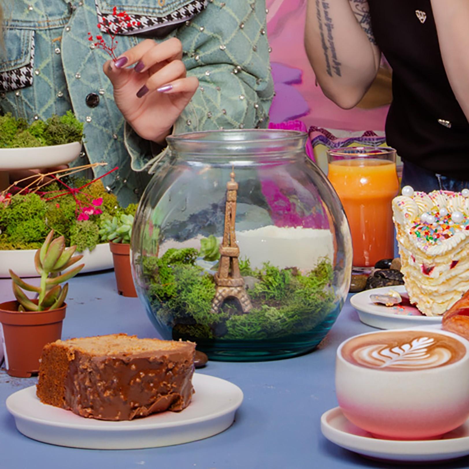 Composez votre terrarium sec autour d'un brunch avec Marie et son équipe - Image n°6 - Wecandoo