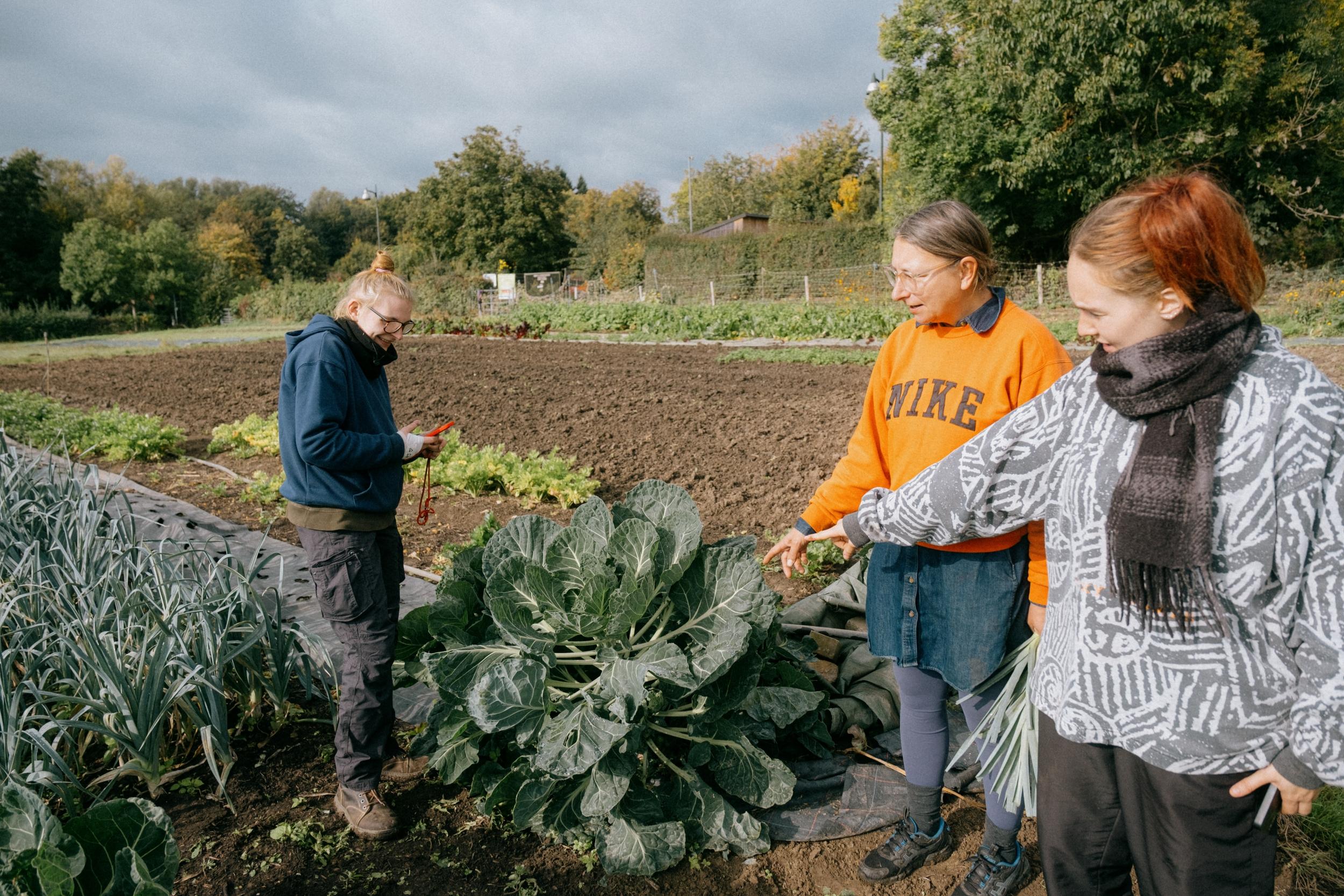 Initiez-vous à la permaculture avec Sonia - Image n°9 - Wecandoo
