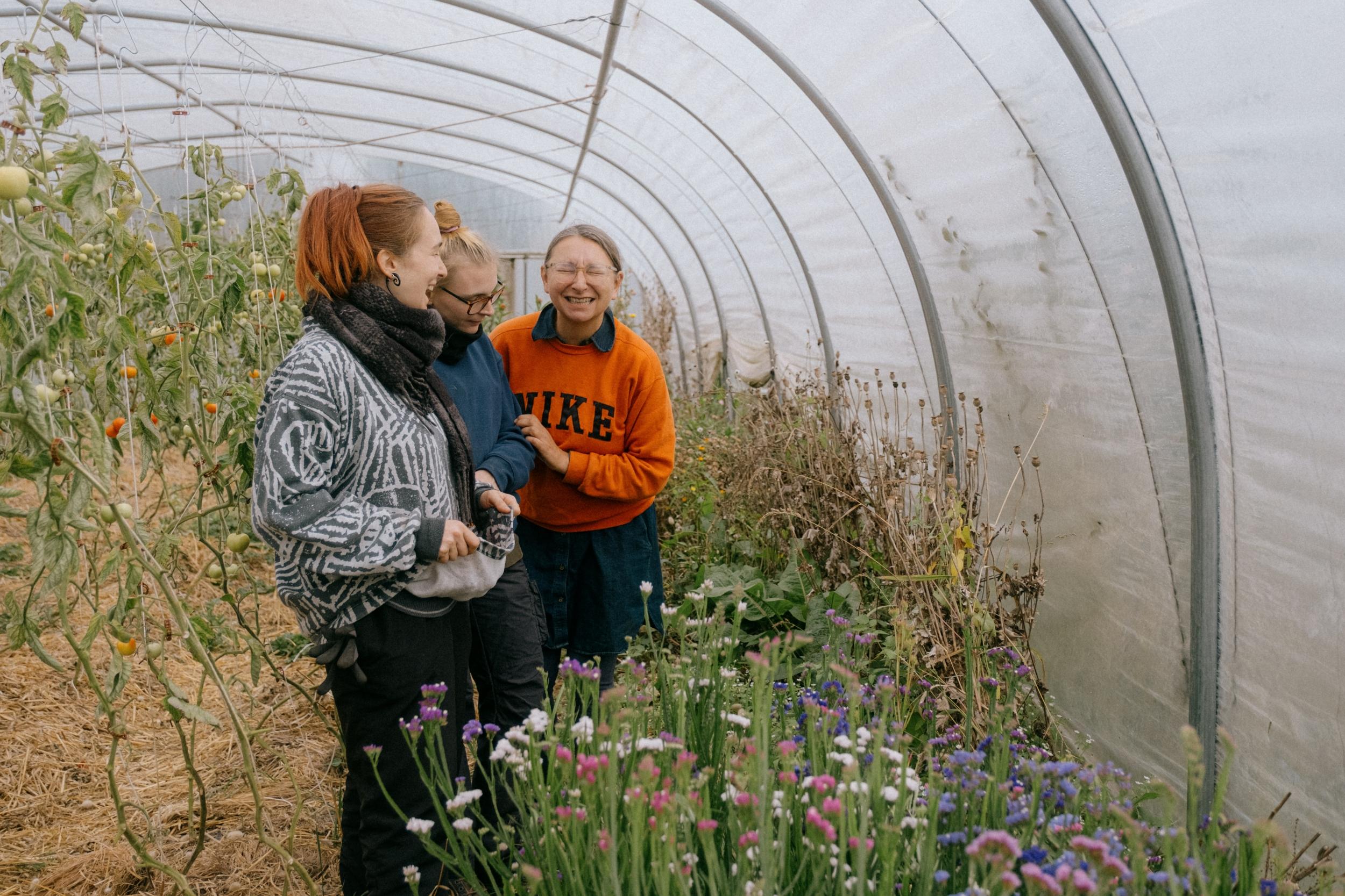 Initiez-vous à la permaculture avec Sonia - Image n°10 - Wecandoo