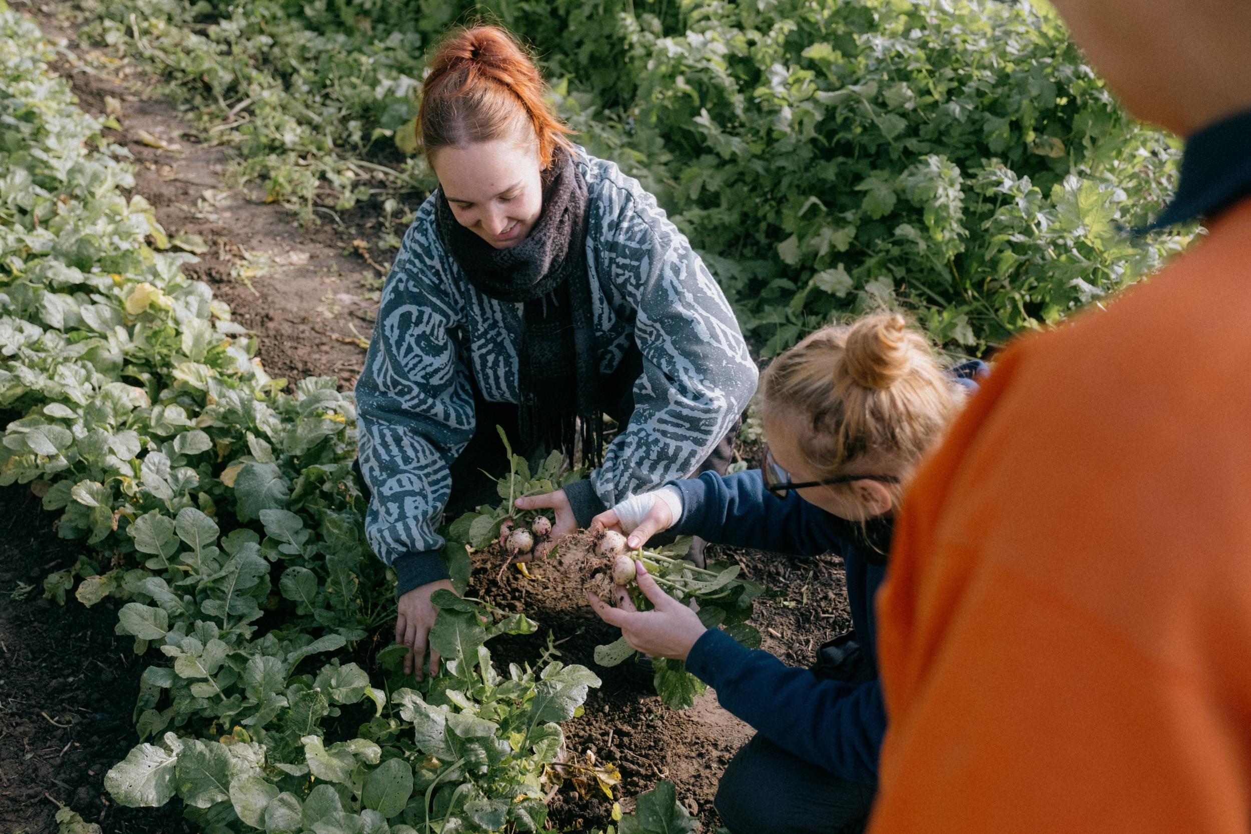Initiez-vous à la permaculture