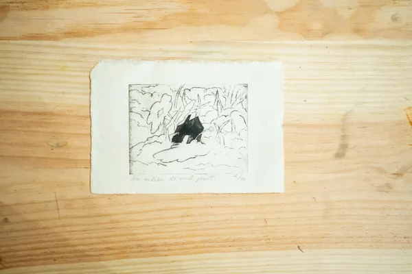 Découvre la gravure sur tétrapack