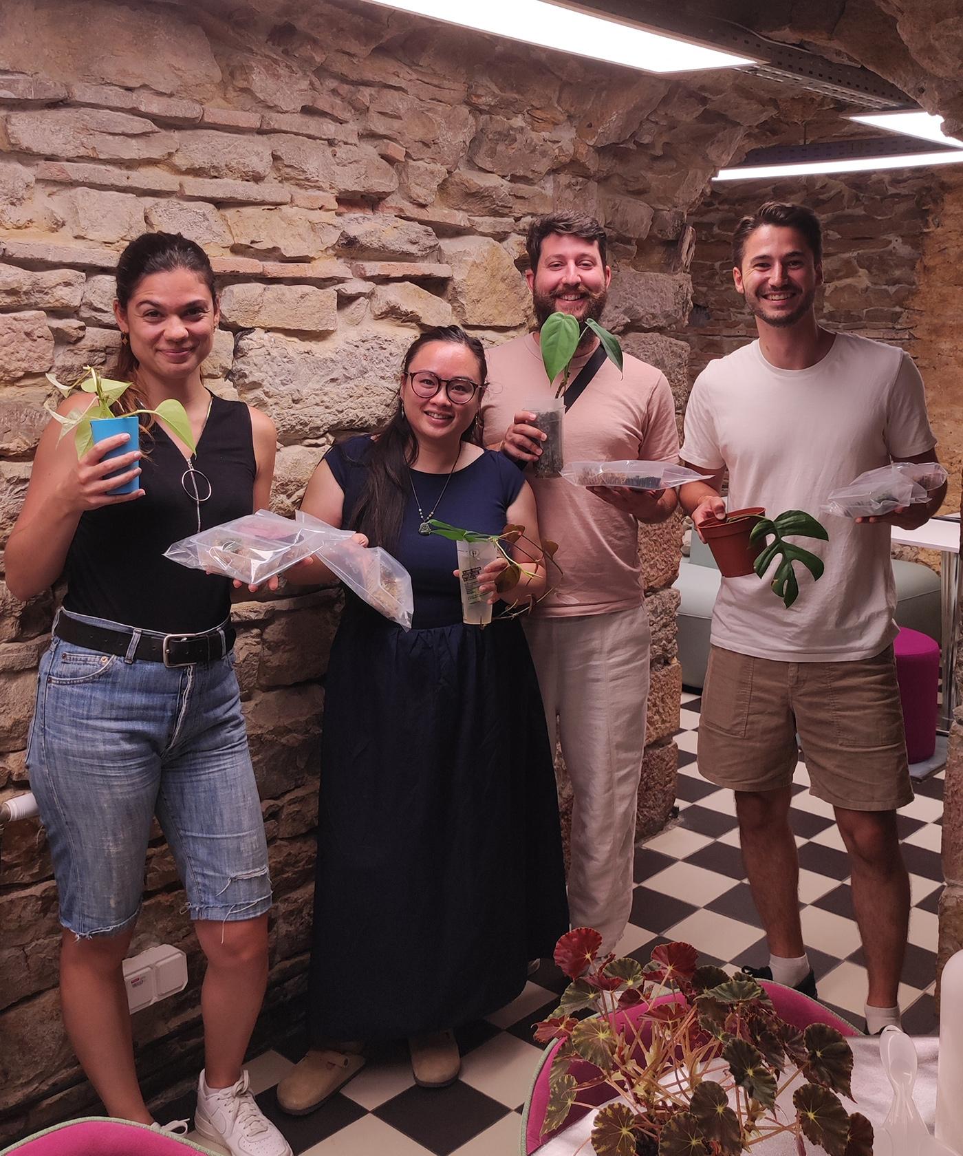 Plongez dans l'univers des plantes d'intérieur avec Nicolas - Image n°11 - Wecandoo
