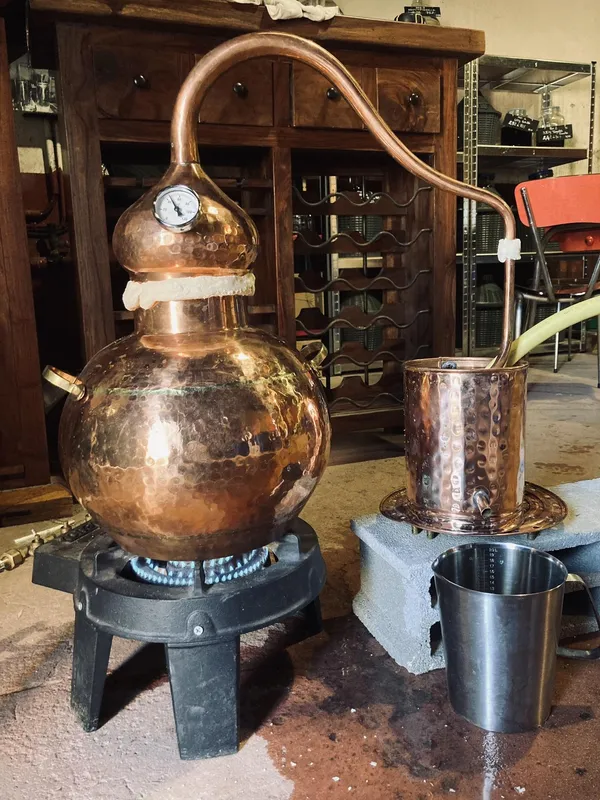 Créez votre propre gin artisanal