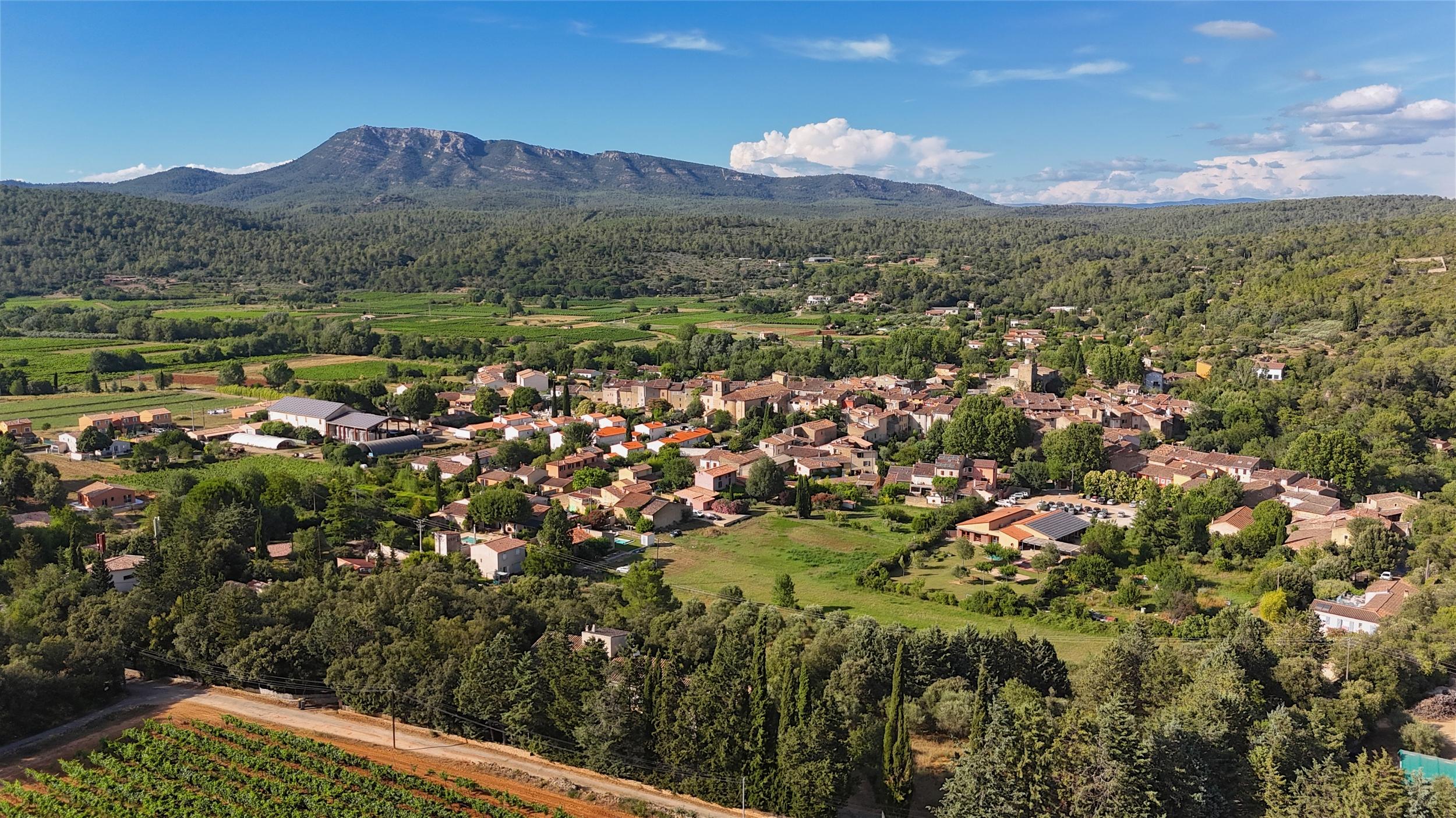 Créez votre propre gin artisanal avec Lolita - Image n°1 - Wecandoo