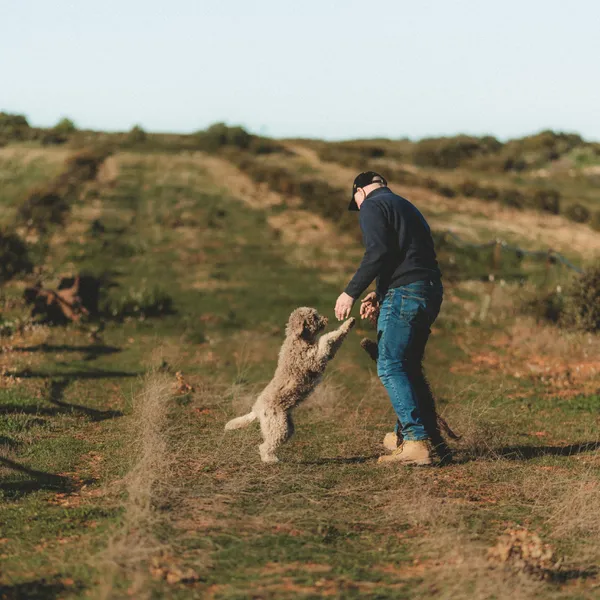Partez à la recherche de truffes noires en duo avec Olivier - Image n°4 - Wecandoo