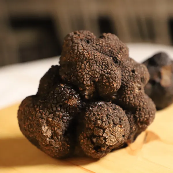Partez à la recherche de truffes noires en duo avec Olivier - Image n°5 - Wecandoo
