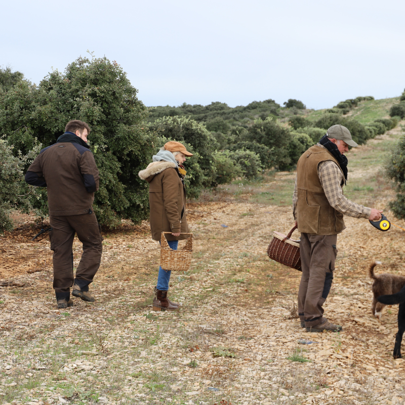Partez à la recherche de truffes noires en duo avec Olivier - Image n°3 - Wecandoo