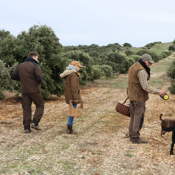 Partez à la recherche de truffes noires en duo avec Olivier - Image n°3 - Wecandoo
