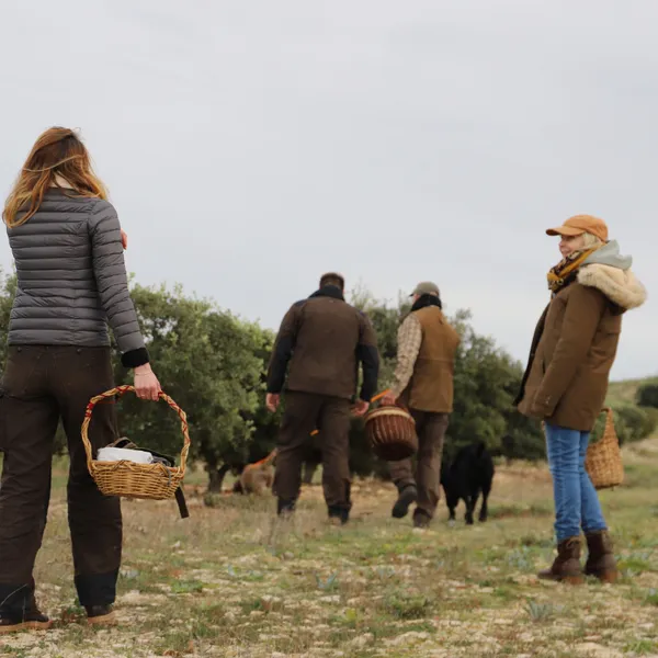 Partez à la recherche de truffes noires en duo avec Olivier - Image n°4 - Wecandoo