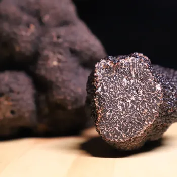 Partez à la recherche de truffes noires en duo