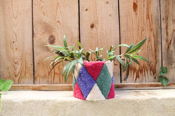 Créez votre cache-pot tufté avec Paoline - Afbeelding nr. 2 - Wecandoo