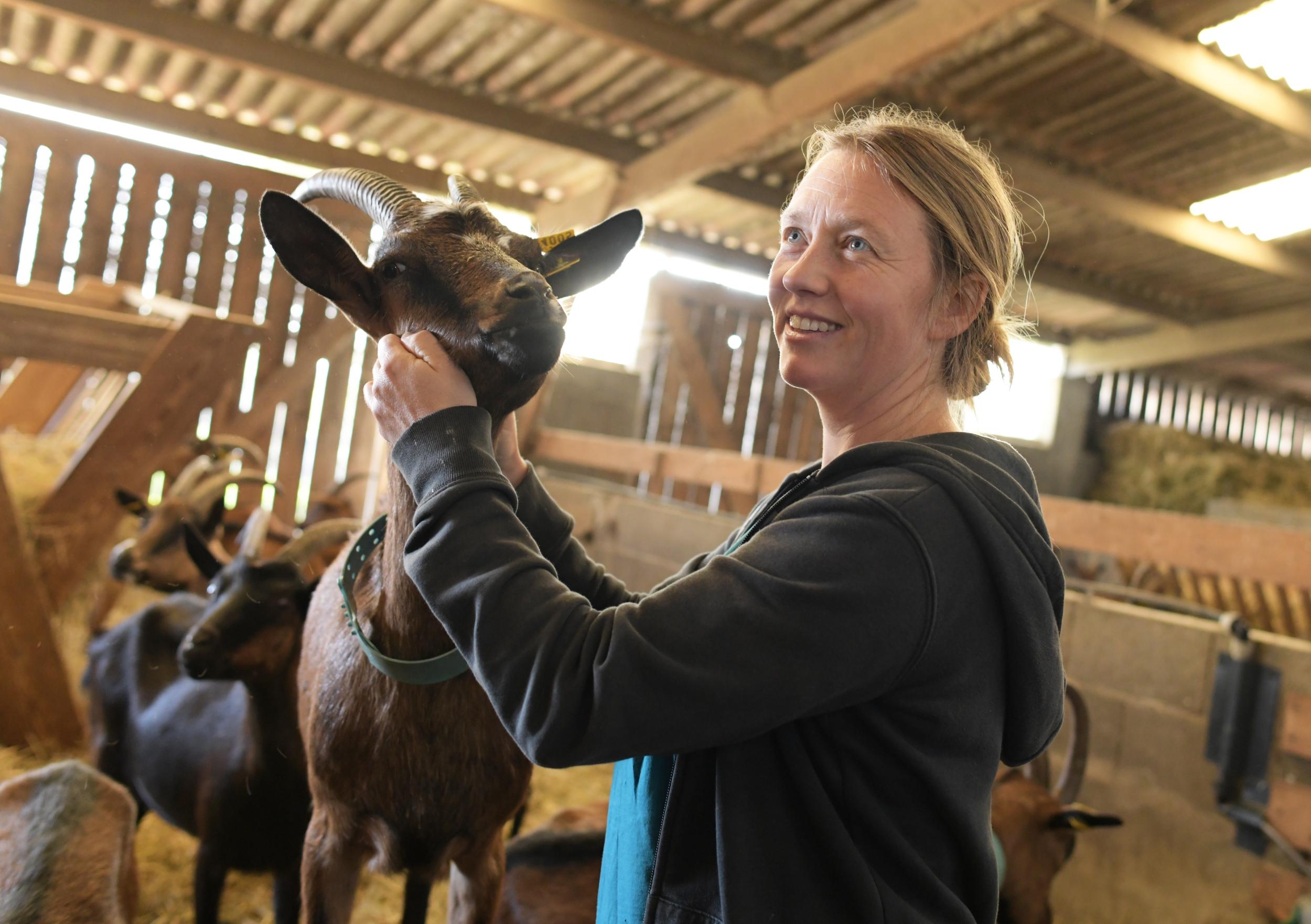 Visitez une chèvrerie et fabriquez votre fromage avec Manon - Image n°6 - Wecandoo