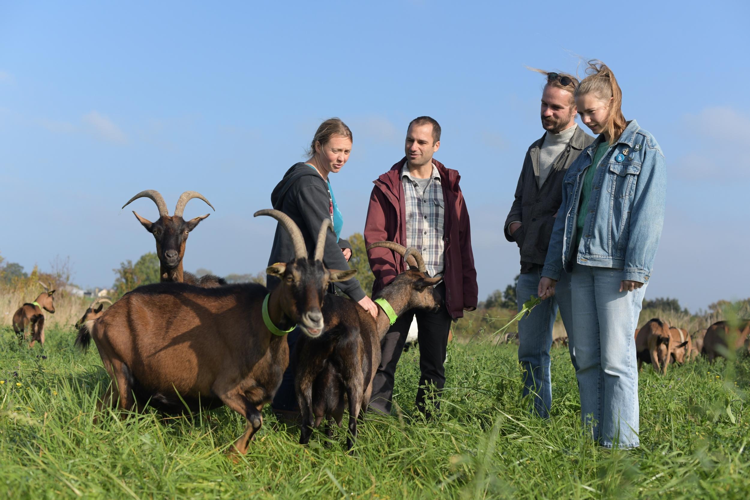 Visitez une chèvrerie et fabriquez votre fromage avec Manon - Image n°7 - Wecandoo