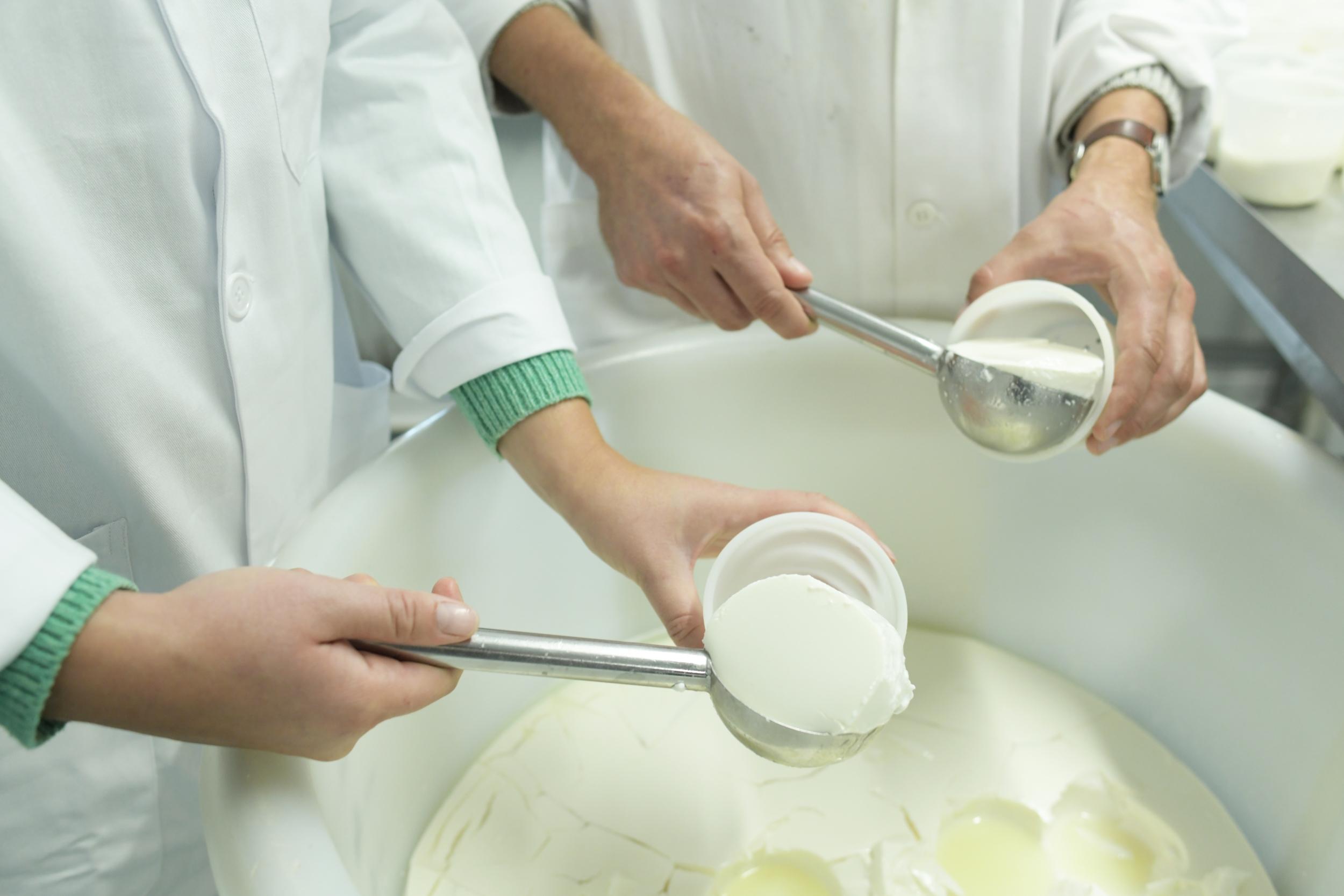 Visitez une chèvrerie et fabriquez votre fromage avec Manon - Image n°9 - Wecandoo