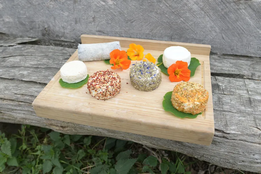 Visitez une chèvrerie et fabriquez votre fromage avec Manon - Image n°1 - Wecandoo