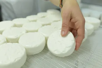 Visitez une chèvrerie et fabriquez votre fromage à Saint-Malo